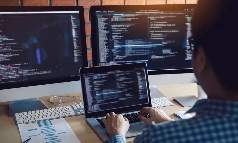 数据科学选型:R与Python如何赋能文县网站建设?